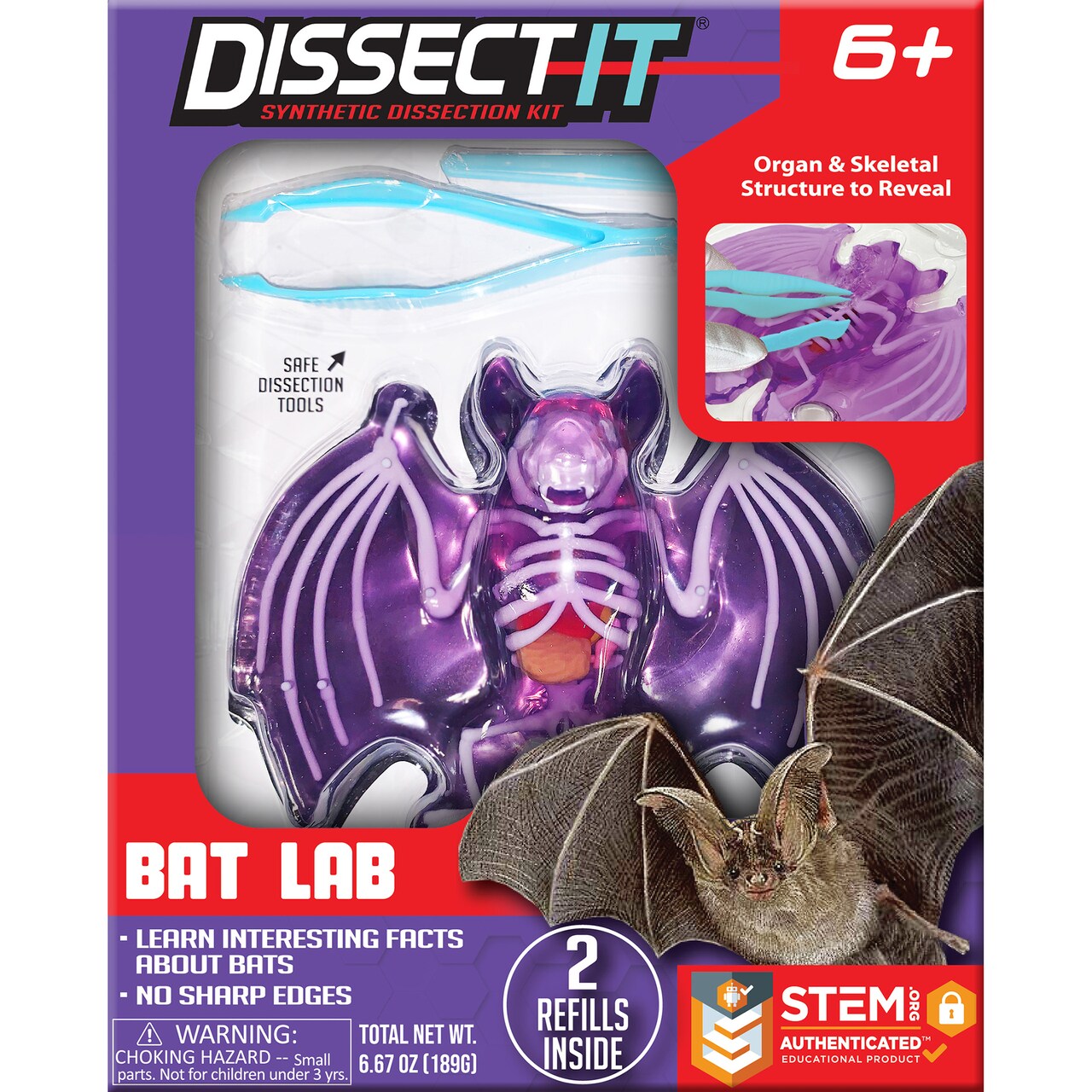 Dissect-It: Bat Lab - Synthetic Dissection Kit, Realistic & Safe, STEM Learning Guide, Animal Science Kit, Biology, Top Secret Toys, Kids Ages 6+